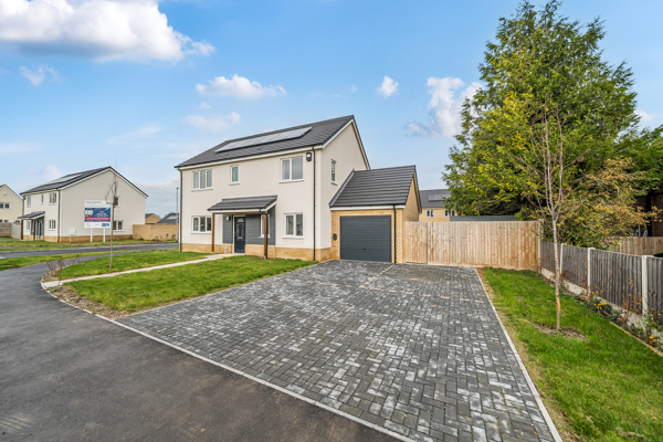 Plot 1 The Peacock (3)