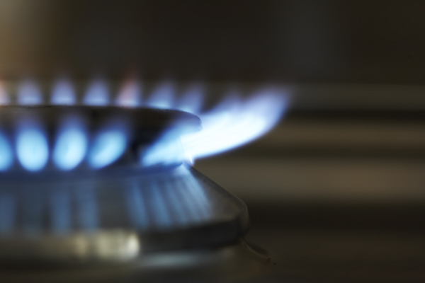 Gas Hob Burner 2