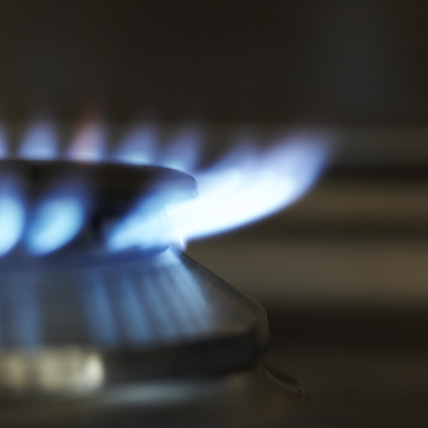 Gas Hob Burner 2
